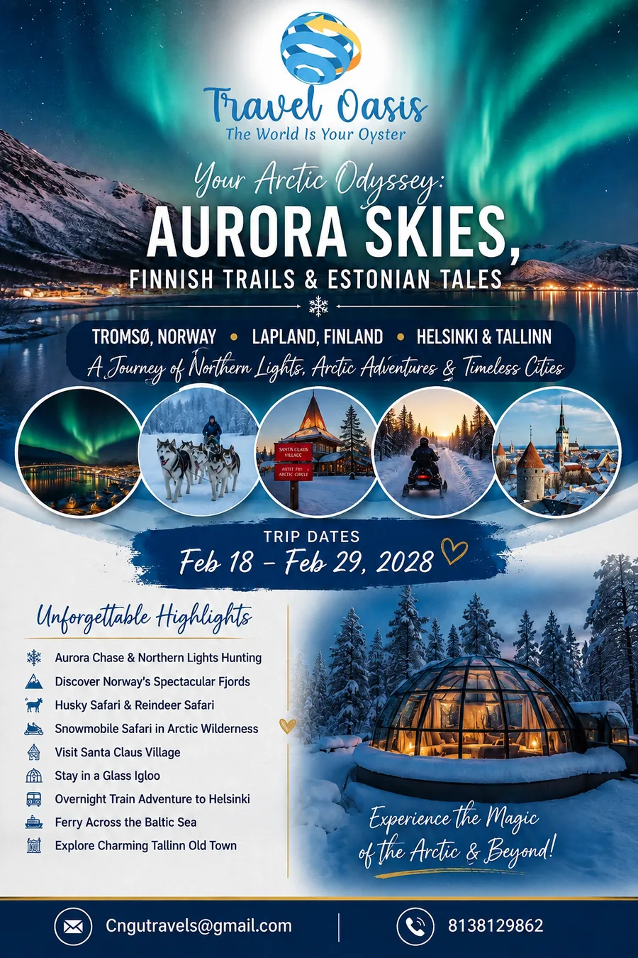Aurora Skies
